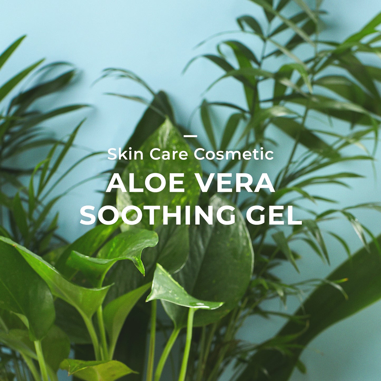 [Combo] Beausta Aloe Vera Soothing Gel | 20 ml