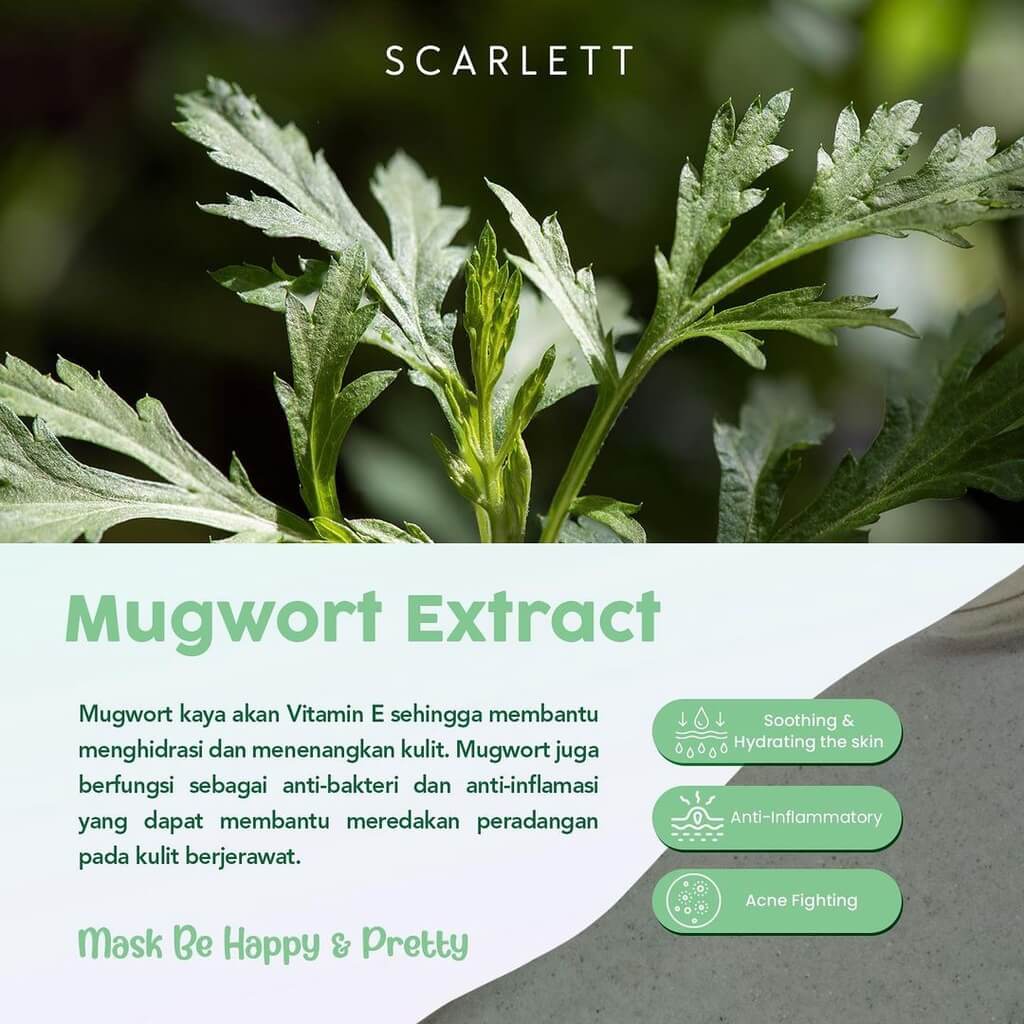 Scarlett Herbalism Mugwort Mask