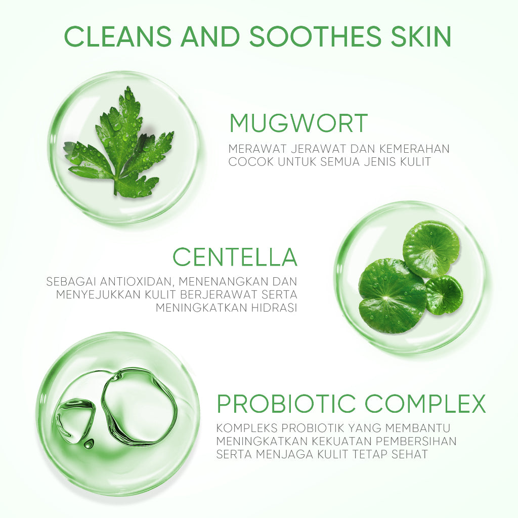 SKINTIFIC Mugwort Purifying Micellar Water | 300 ml