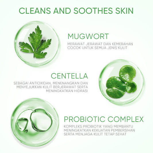 SKINTIFIC Mugwort Purifying Micellar Water | 300 ml