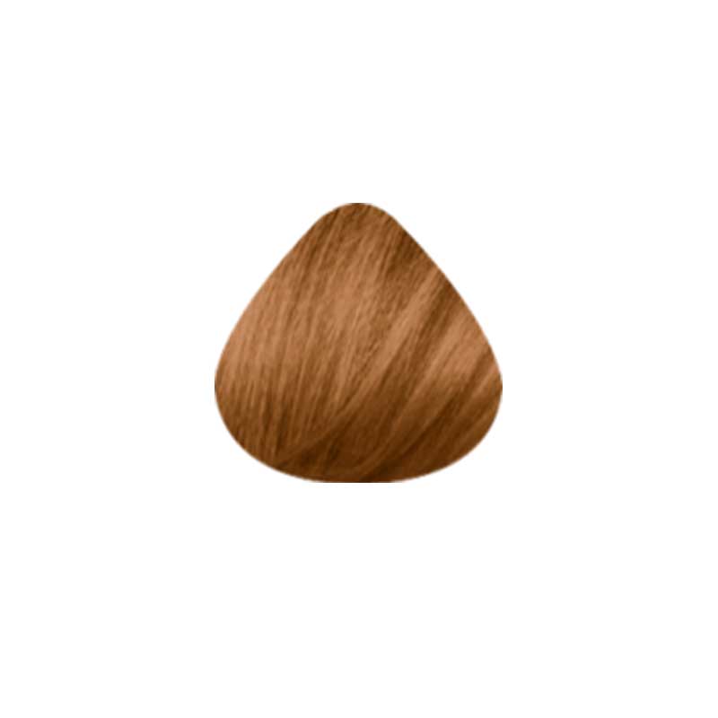 Beautylabo Hair Color N9 Natural Blonde | 100g