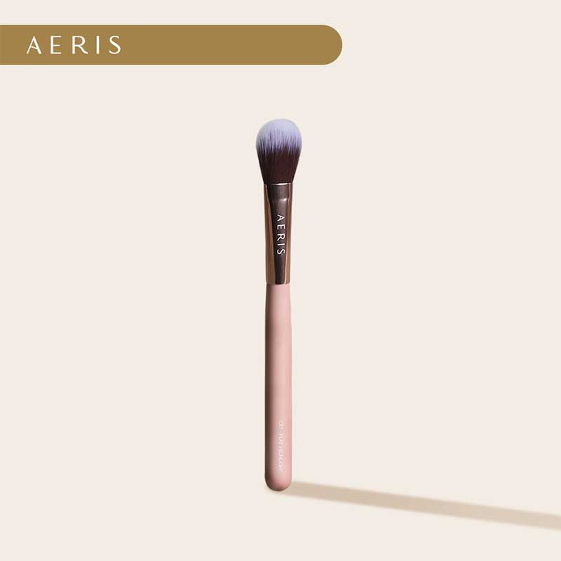 Aeris Beaute The Coral 2 0 Brushes- CR6- Under Eye