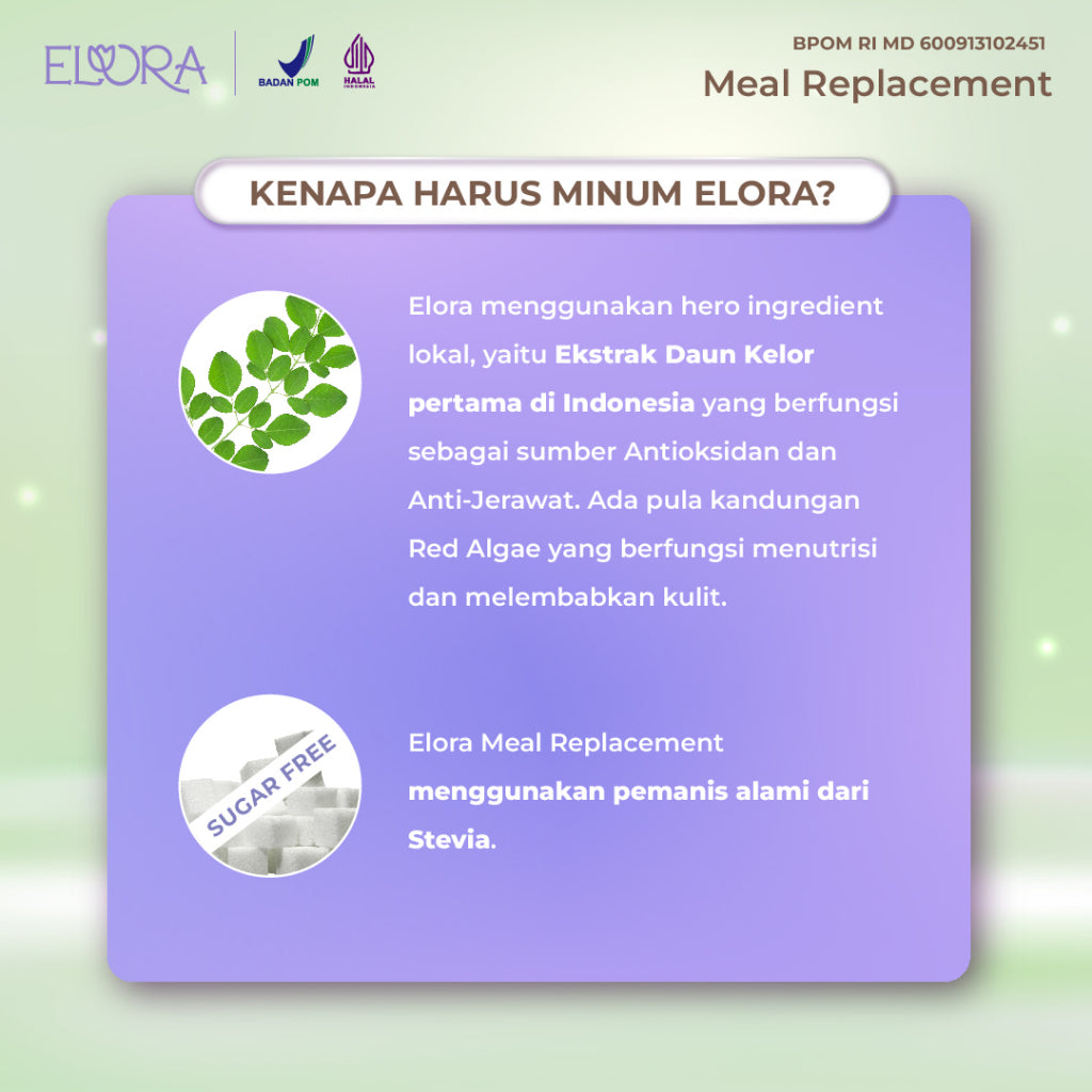 Elora Fully Yummy isi 12 (Meal Replacement)