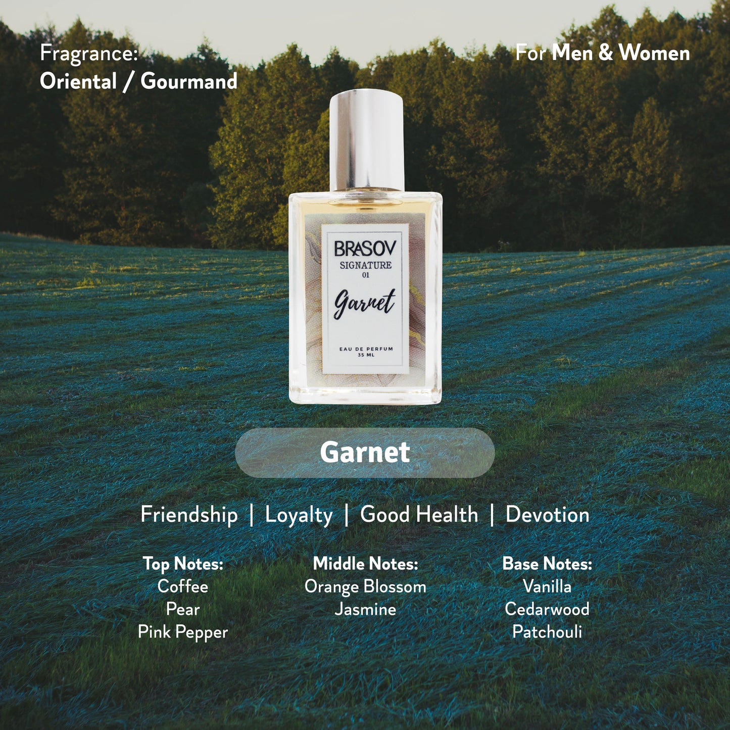 Brasov Eau De Parfum (EDP) - Signature Garnet 01